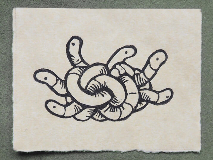 Knot of Brahminy Blind Snakes